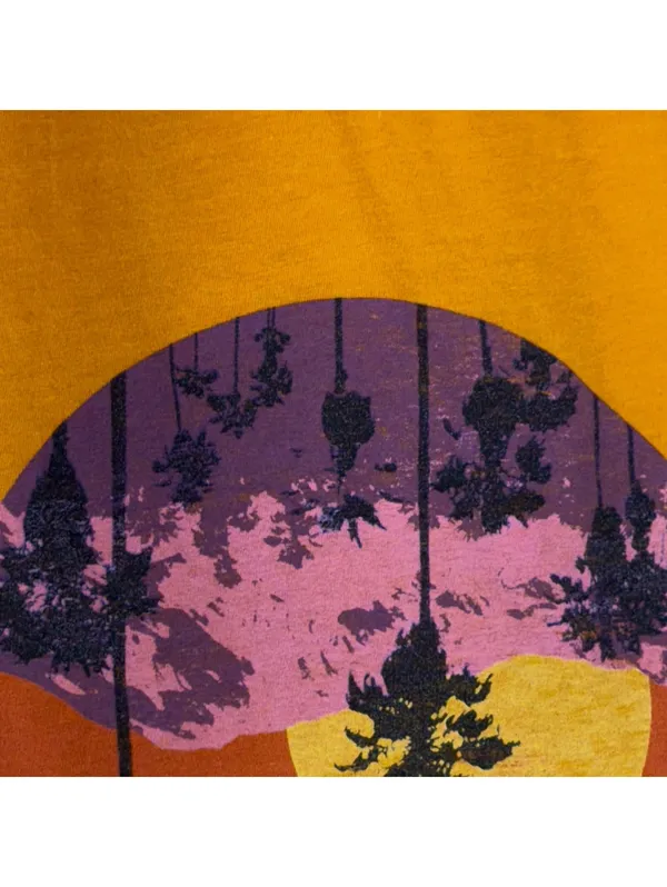 Aeropostale Palm Springs Graphic Tee Small Mustard - Image 3