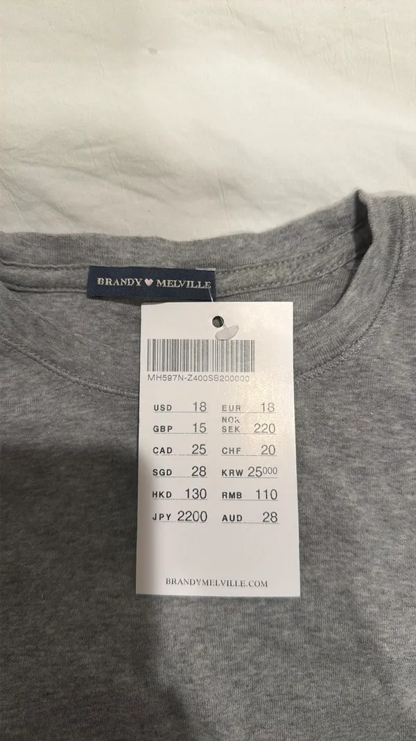 Brandy Melville Grey Top - Image 3