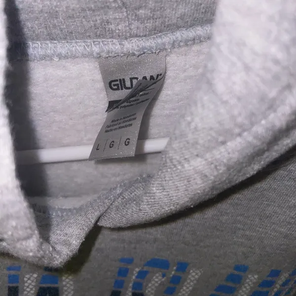 Florida hoodie Gray Size L - Image 2