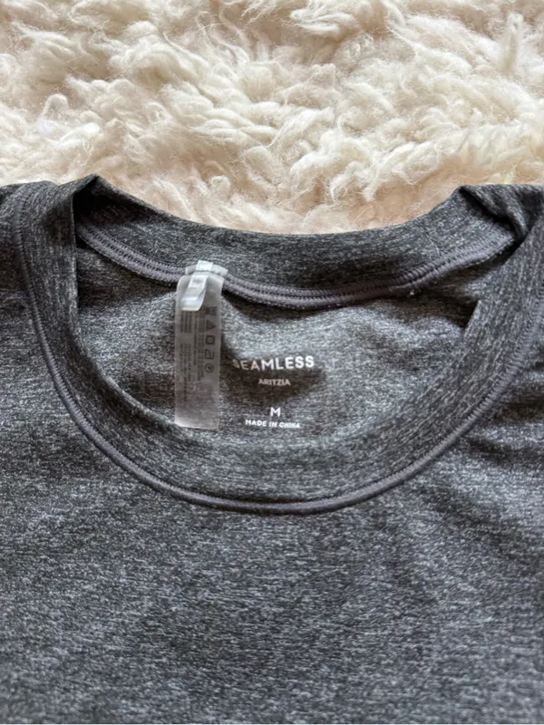 Aritzia Charcoal Gray Crewneck Short Sleeve Tee - Image 2