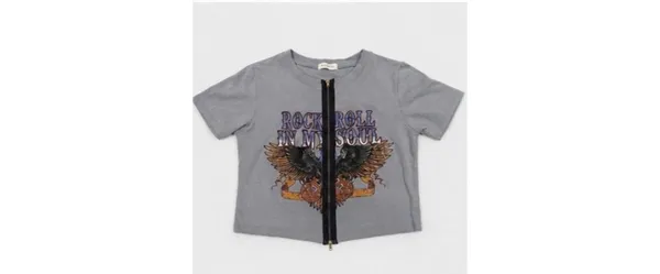 Gray Rock N Roll Graphic Crop Zip Tee Indie Sleaze Grunge S - Image 4