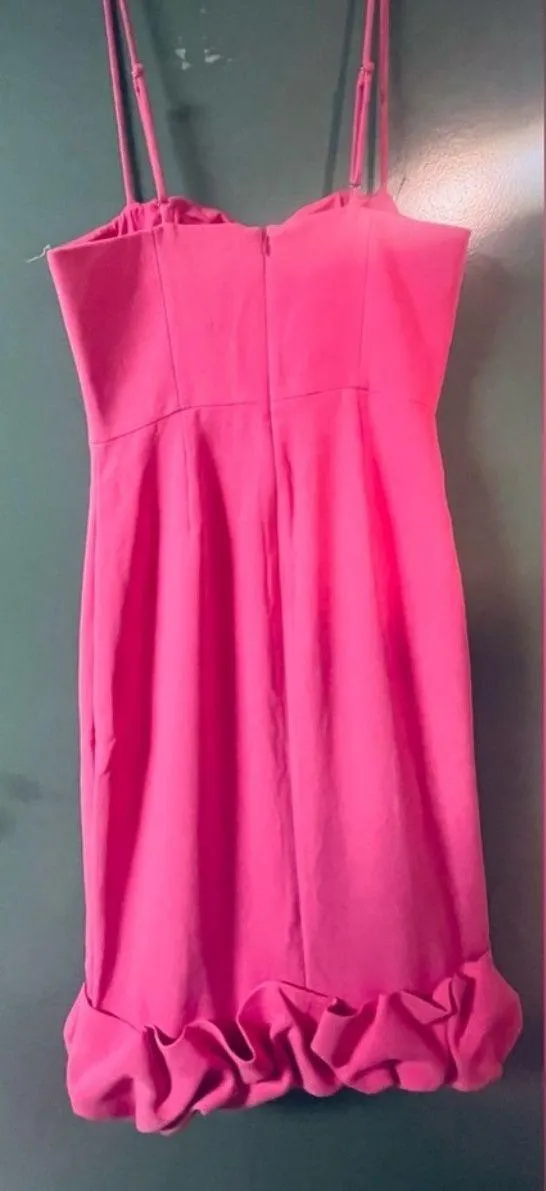 No Big Deal Revolve  Roja midi dress - Image 5