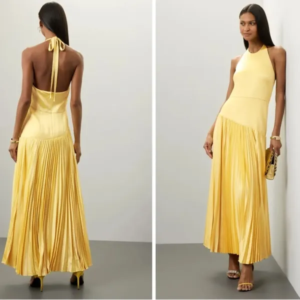 Alexis Saab Pleated Drop Waist Maxi Dress in Yellow S - Image 2