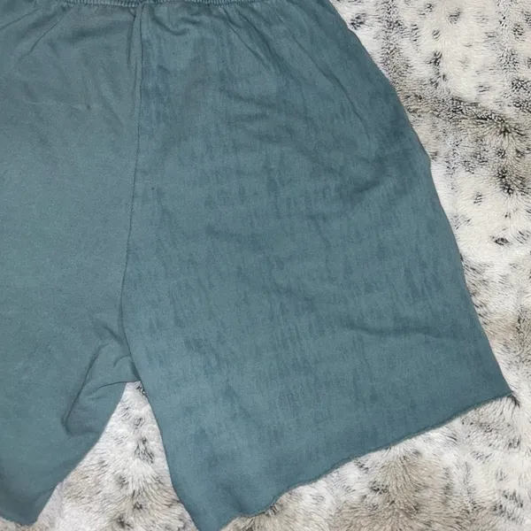 Boys Lie 🆕 NWOT | Classic V2 Sweat Shorts | Lead | Size Small **Flawed** - Image 14