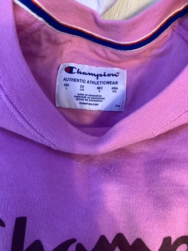 Champion Crewneck - Image 2