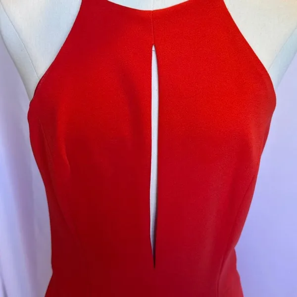 NWT‎ Jay Godfrey Red Coral lined high quality dress High front slit - Image 2