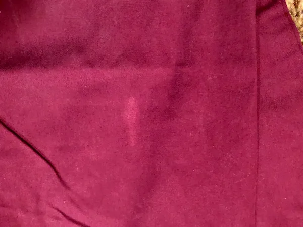 Cherokee Scrub Pants - Image 5