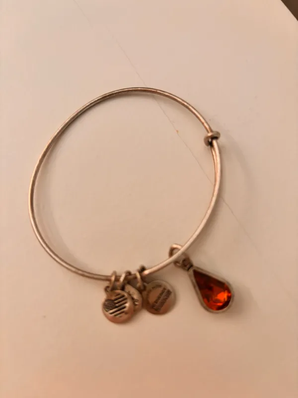 Alex and Ani Bracelet Bangle - Image 2