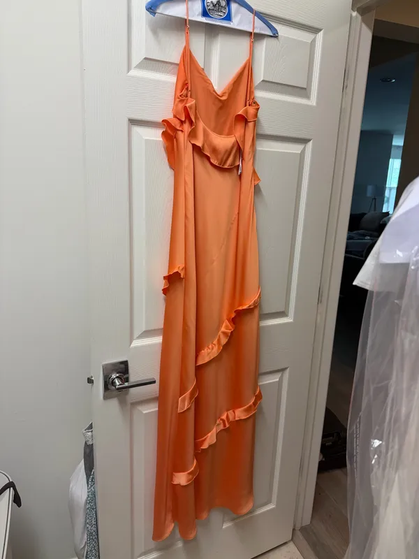 Birdy Grey Apricot Dress - Image 4
