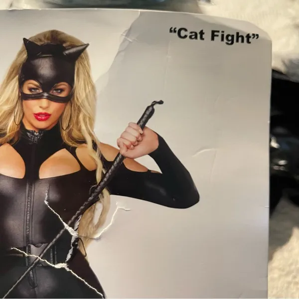 NEW Dreamgirl Cat Fight Catwoman Costume Size XL - Image 4