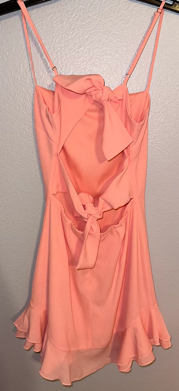 Lucy in the Sky Pink Dress - Image 2