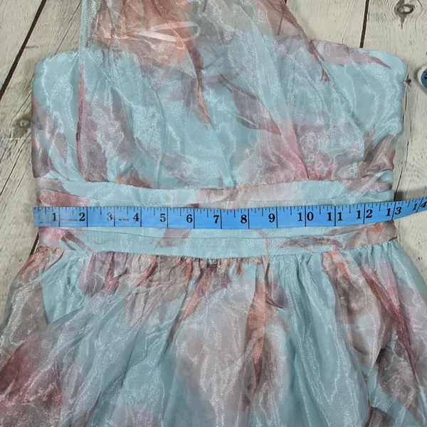 Lulus Blue Pink Dramatically Lovely Floral One-Shoulder Maxi Dress Organza S NWT - Image 12