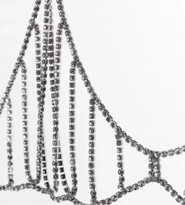 Zara Rhinestone Jewel Bra Top - Image 4