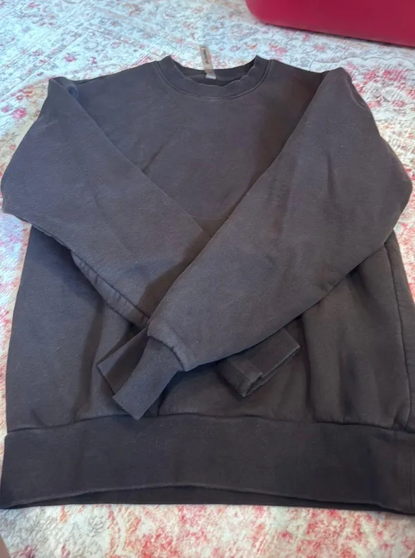 Aritzia The Constant Sweatshirt - Image 3