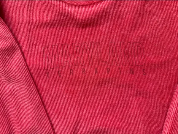 Chicka-d Maryland Terrapins Crewneck - Image 2