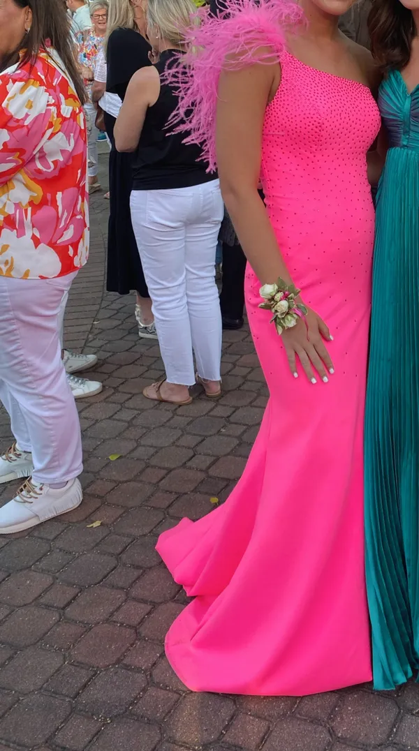 Ashley Lauren Prom Dress - Image 4