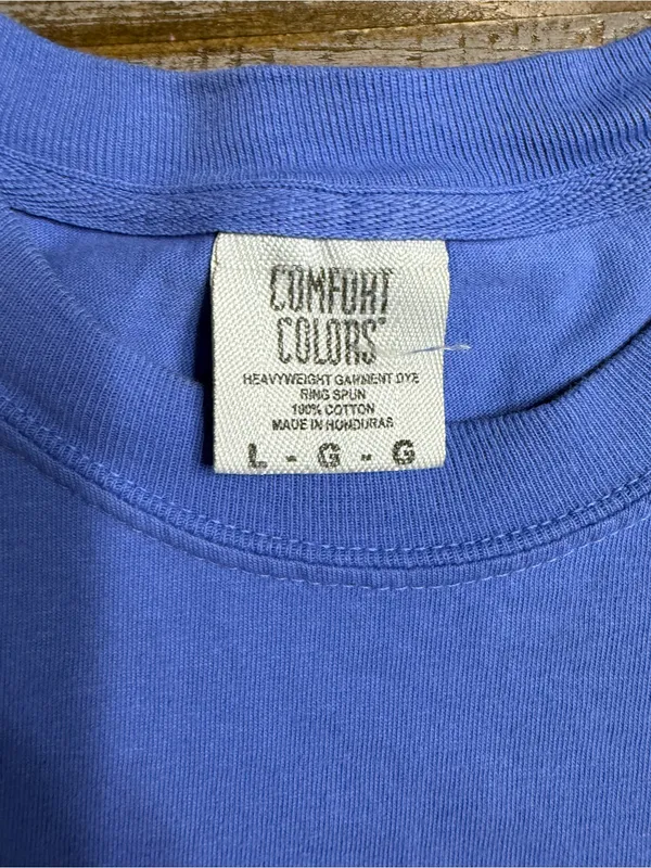 Comfort Colors Blue Tiger Nirvana Graphic Tee - Image 2