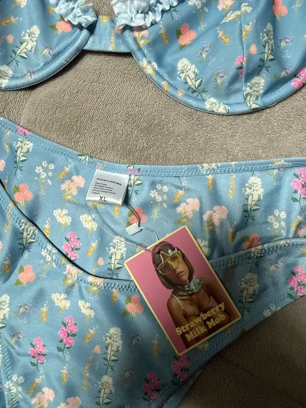 Strawberry Milk Mob Bikini NWT Blue Size XL - Image 4