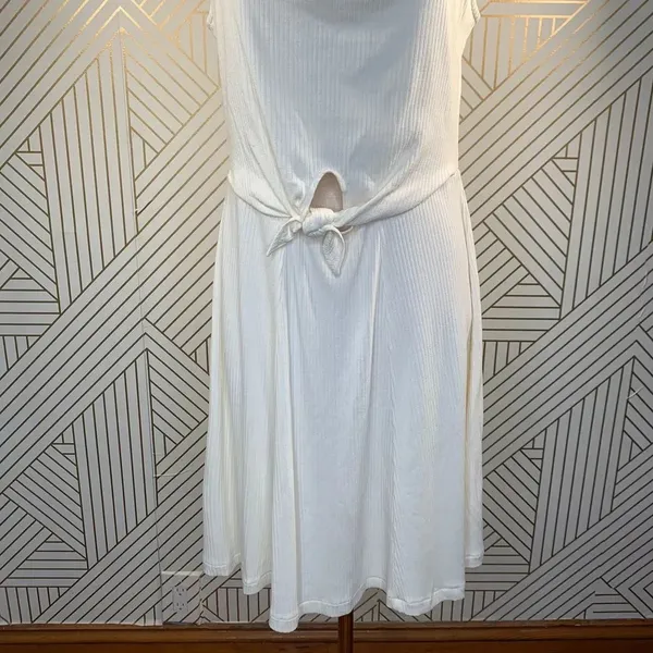 L*Space Topanga Dress in‎ Cream Ribbed Cutout - Image 6