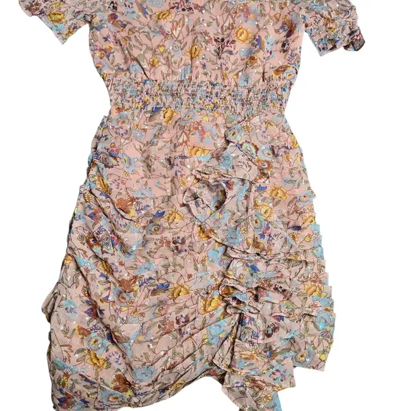 Walter Baker‎ Mars Floral Ruched Mini Dress Size: 4 - Image 3