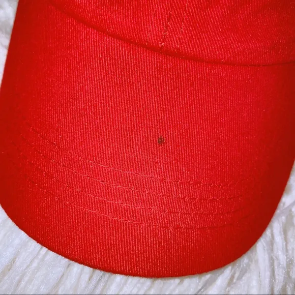 Southern marsh hat - Image 3