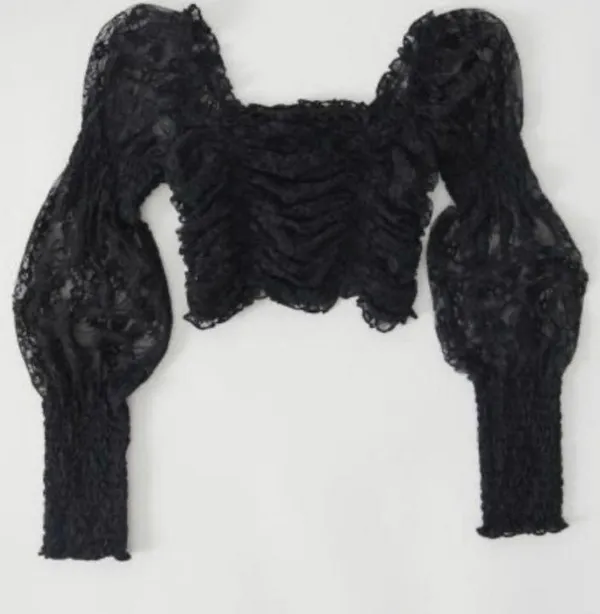 Urban Outfitters NWOT Crop Lace Top - Image 4
