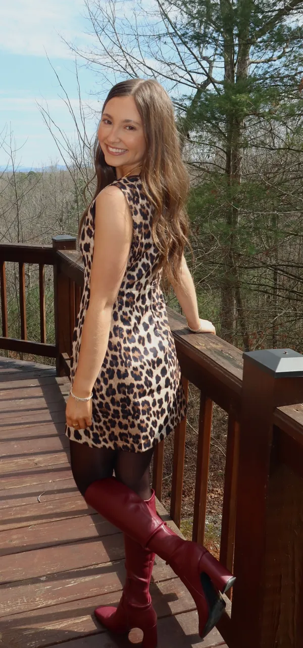 These Three Boutique Leopard Mini Dress - Image 3