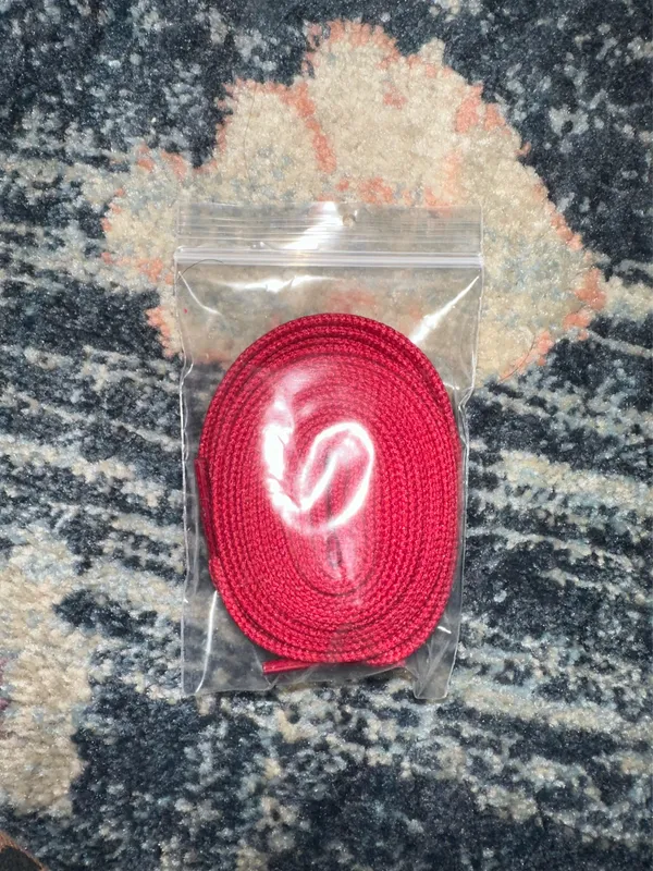 Jordan 1 high Chicago snake skin - Image 8