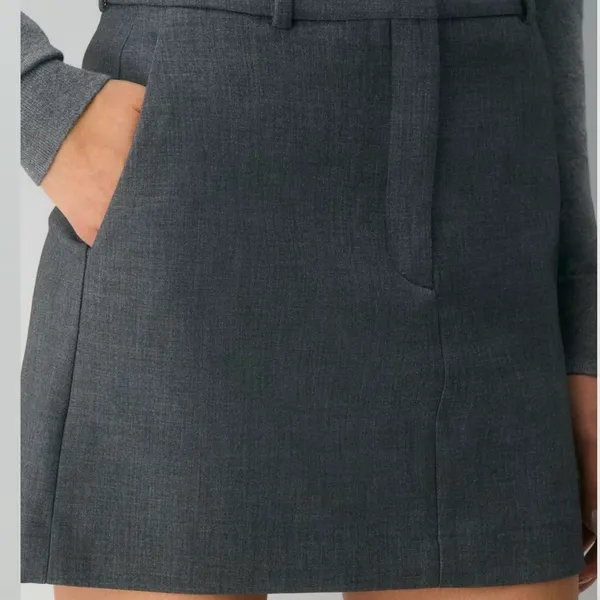 Aritzia Babaton Skirt - Image 3