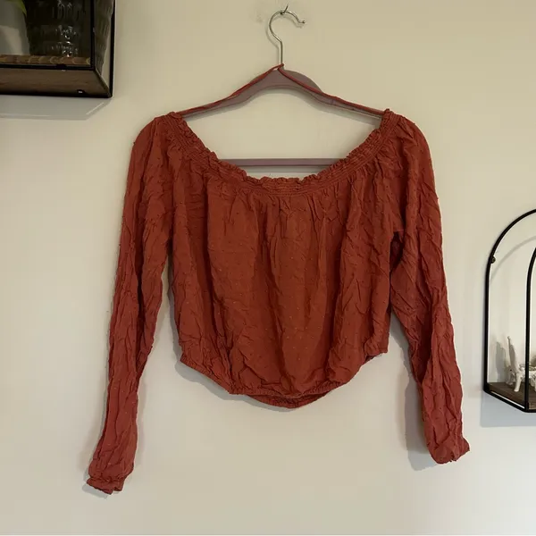 Aeropostale Dusty Rose Pink Long‎ Sleeve Lightweight Cropped Swissdot Blouse Lrg - Image 2