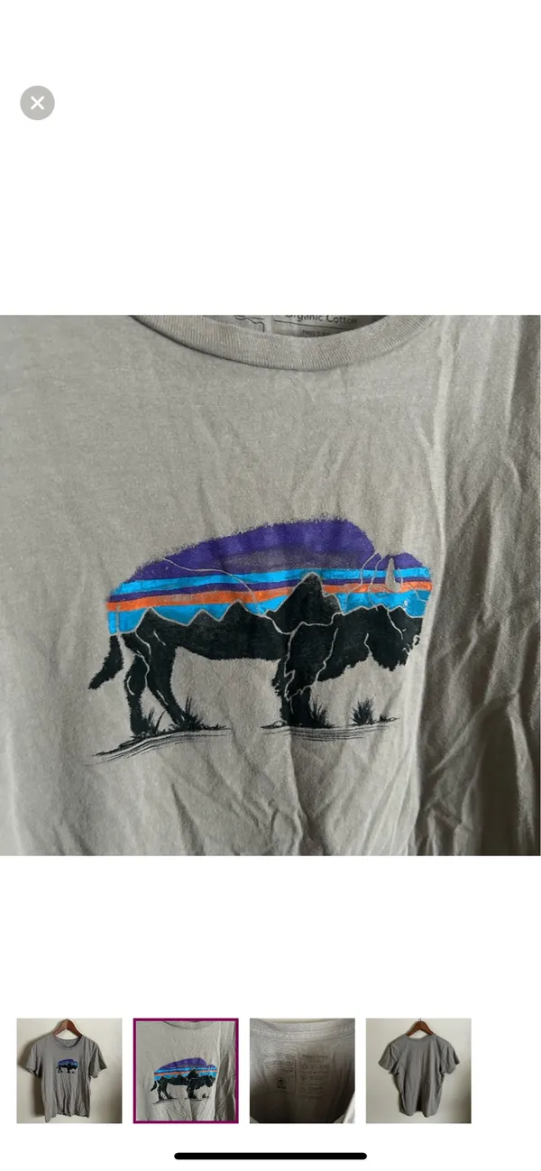 Patagonia | Buffalo 100% organic cotton regular fit gray graphic tee - Image 2