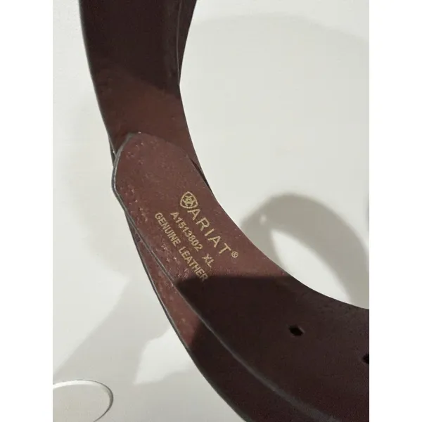 ARIAT WOMEN'S TOOLED & STUDDED LEATHER BELT Brown - Image 5