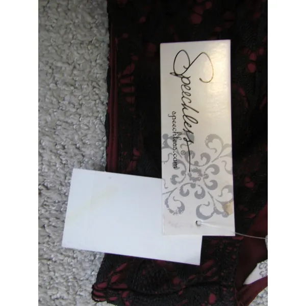 NWT Speechless Lace Tulle Dress‎ Large Burgundy Black Gothic Cocktail Party - Image 3