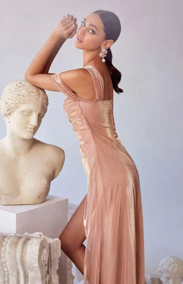 Alamour The Label Rose Gold Beatrice Gown - Image 3
