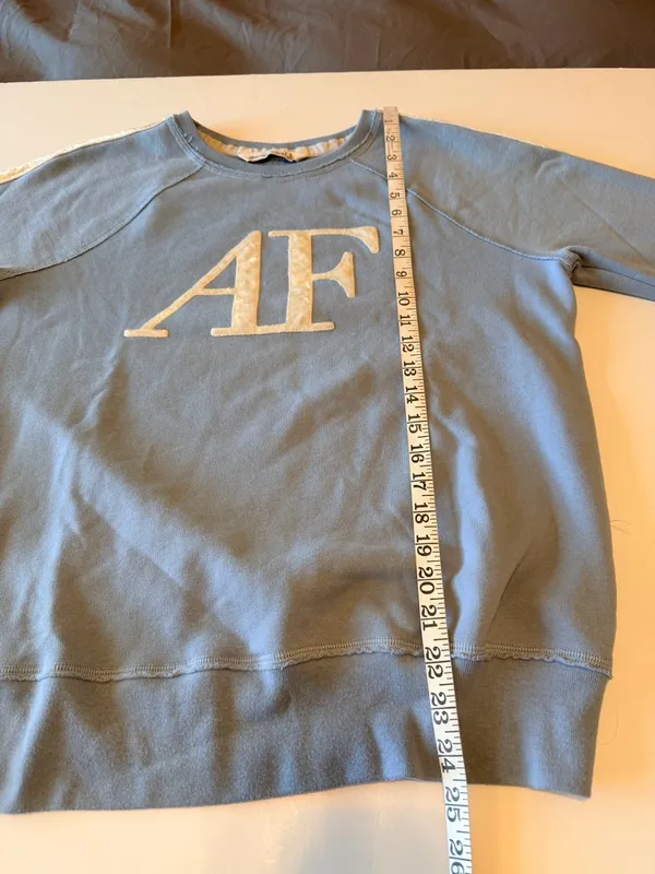 Abercrombie & Fitch signature velour initials Sweatshirt, periwinkle blue, sz L - Image 4