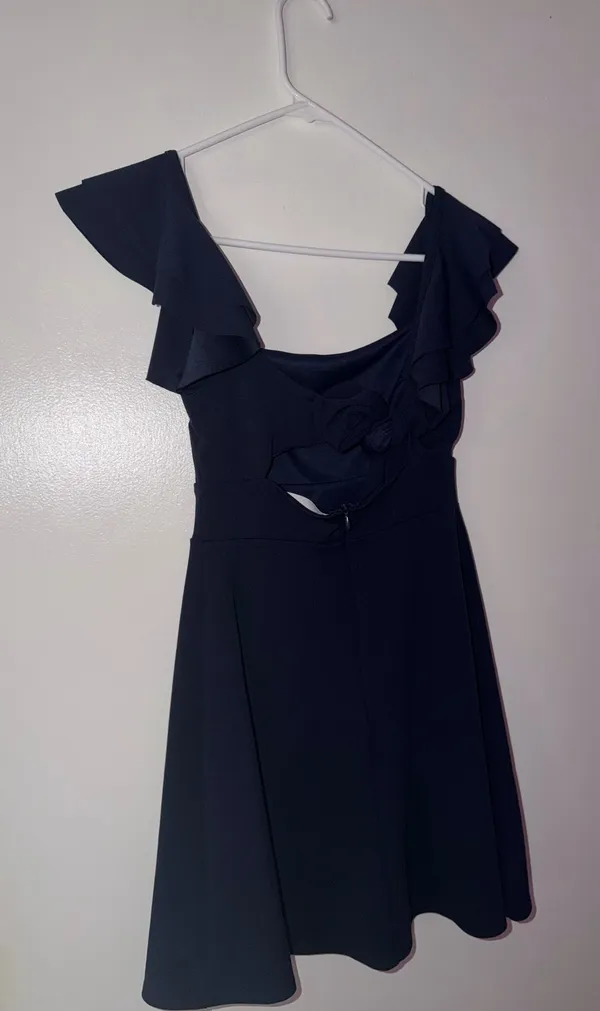Altar'd State Maia Mini Dress - Image 4
