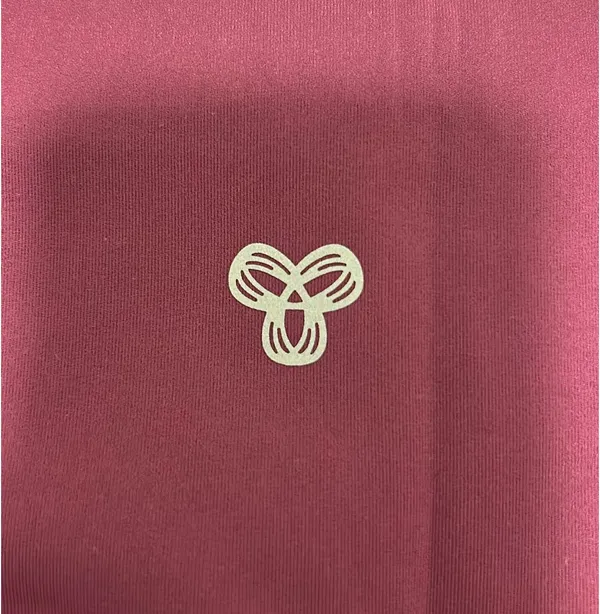 Maroon Aritzia Golden Boxer Shorts - Image 4