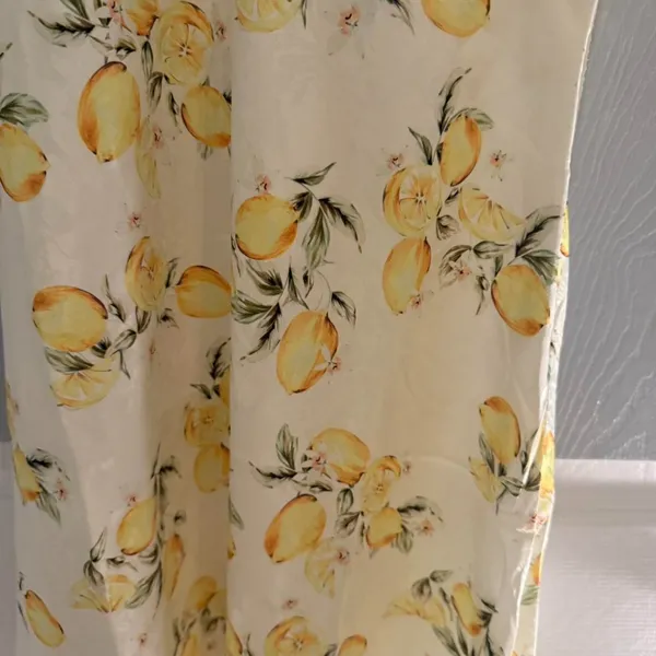 For Love & Lemons Audrey Mini Slip dress , NWT. Size XS. - Image 4