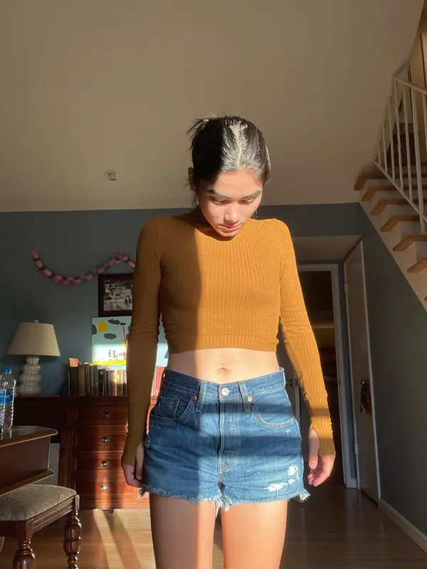 Free People Long Sleeve Crop Top - Image 4