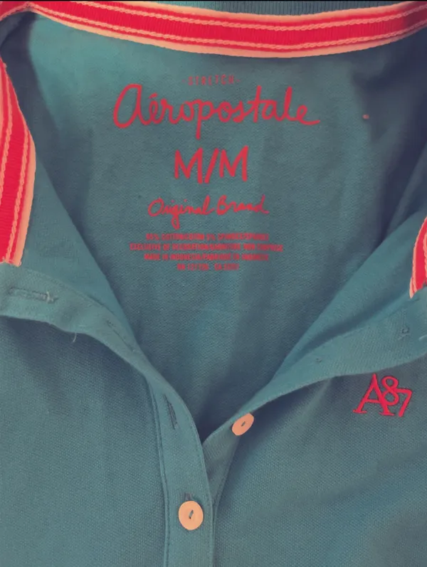 Aeropostale Brand New Teal Polo Shirt (With Tags) 🩵 - Image 3