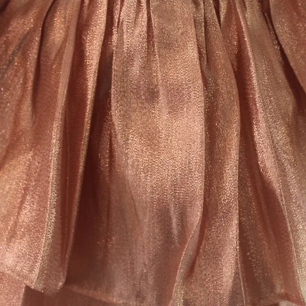 Choosy Copper Rose Organza Dress Size Small - Image 6