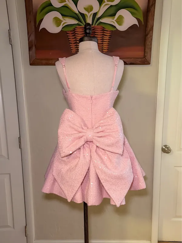 Babyboo Dorothy Mini Dress – Blush - Image 4