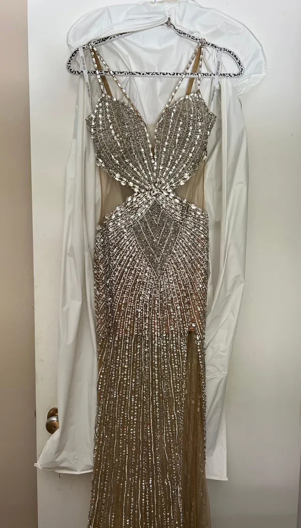 Portia and Scarlett Gold/Silver Gown - Image 2