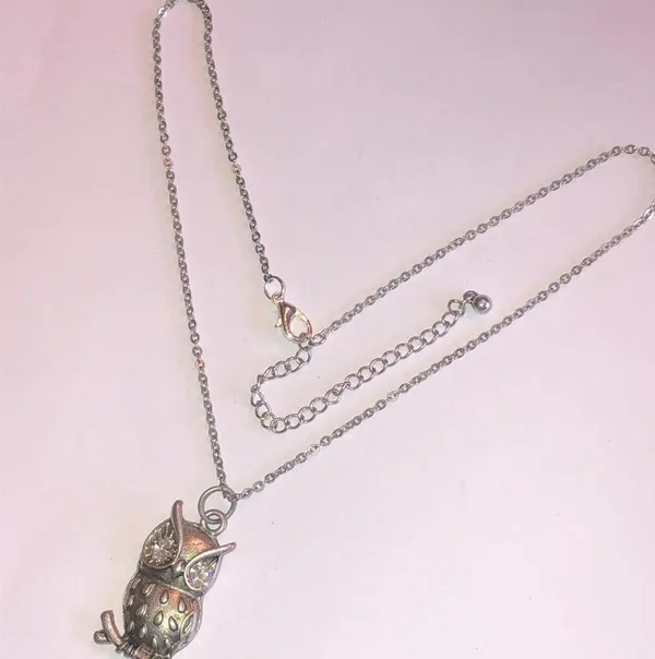 Silver Tone CZ Rhinestone Owl Pendant Dainty Boho Necklace - Image 4