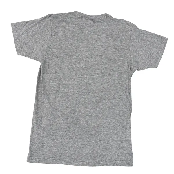 Tultex 202 Adult M Gray Crew Neck Short Sleeve Texas Heifers No Bull Tee Shirt - Image 2