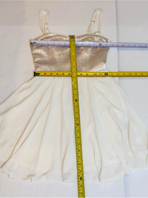 Express Champagne Metallic Sweetheart Fit Flare Cocktail Dress 2 Party Mini - Image 10