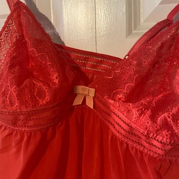 Adore Me Vibrant Pink Lingerie Top - Image 2