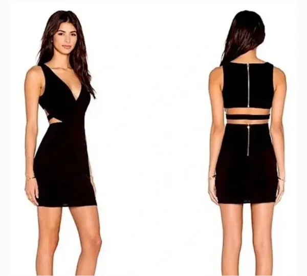 No Big Deal Revolve X Naven Dress - Image 6