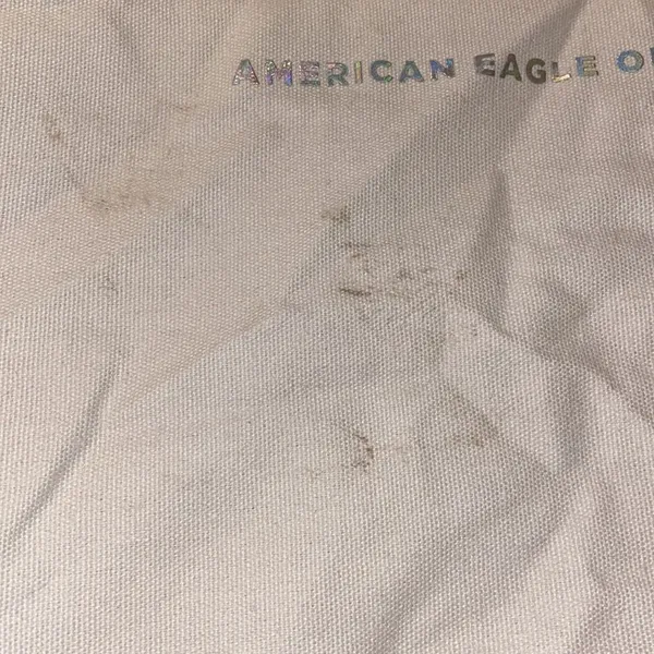✨HP✨American Eagle Outfitter AEO Metallic Holographic Canvas Tote Bag✨ - Image 8