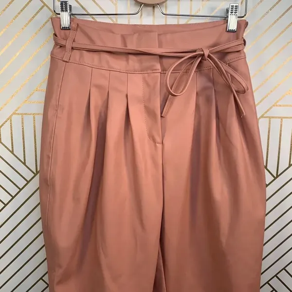Anthropologie BlankNYC Chelsea Pants Faux Leather Pleated Tapered Pink Size 28‎ - Image 4